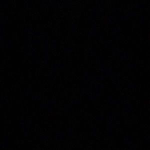 Meet your Posher, Daniela